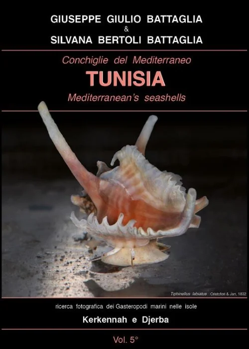 conchiglie del mediterraneo – tunisia - Libri e DVD