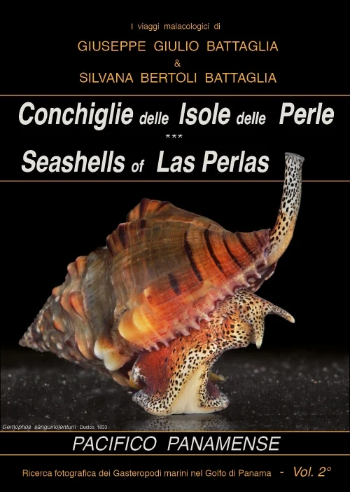 conchiglie delle isole delle perle (pacifico panamense) - Libri e DVD
