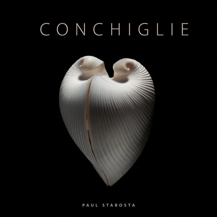 conchiglie - Libri e DVD