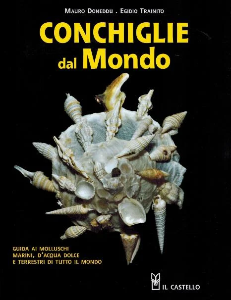 conchiglie dal mondo - Libri e DVD