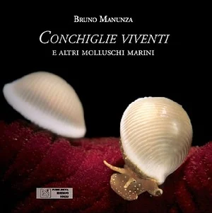 conchiglie viventi - Libri e DVD