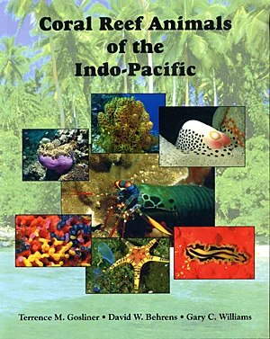 coral reef animals of the indo-pacific