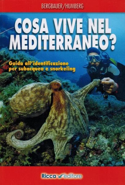 cosa vive nel mediterraneo? - Libri e DVD
