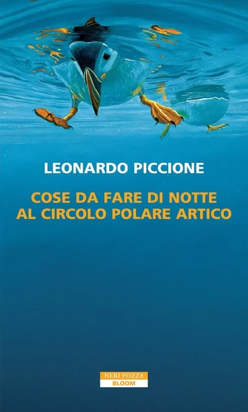 Cose da fare di notte al Circolo Polare Artico - Libri e DVD