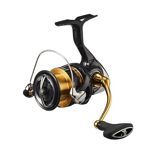 DAIWA Mulinello da Pesca Regalis LT3000-CXH Alta Capacità 3000