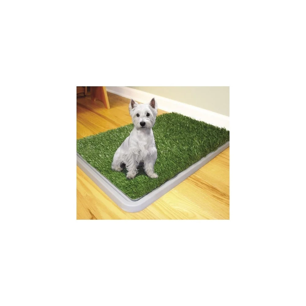 DOG TOILETTE CANI POTTY PATCH LETTIERA WC LAVABILE 3 STRATI BISOGNI ANIMALI 43 x 68 CM - TrAdE Shop Traesio
