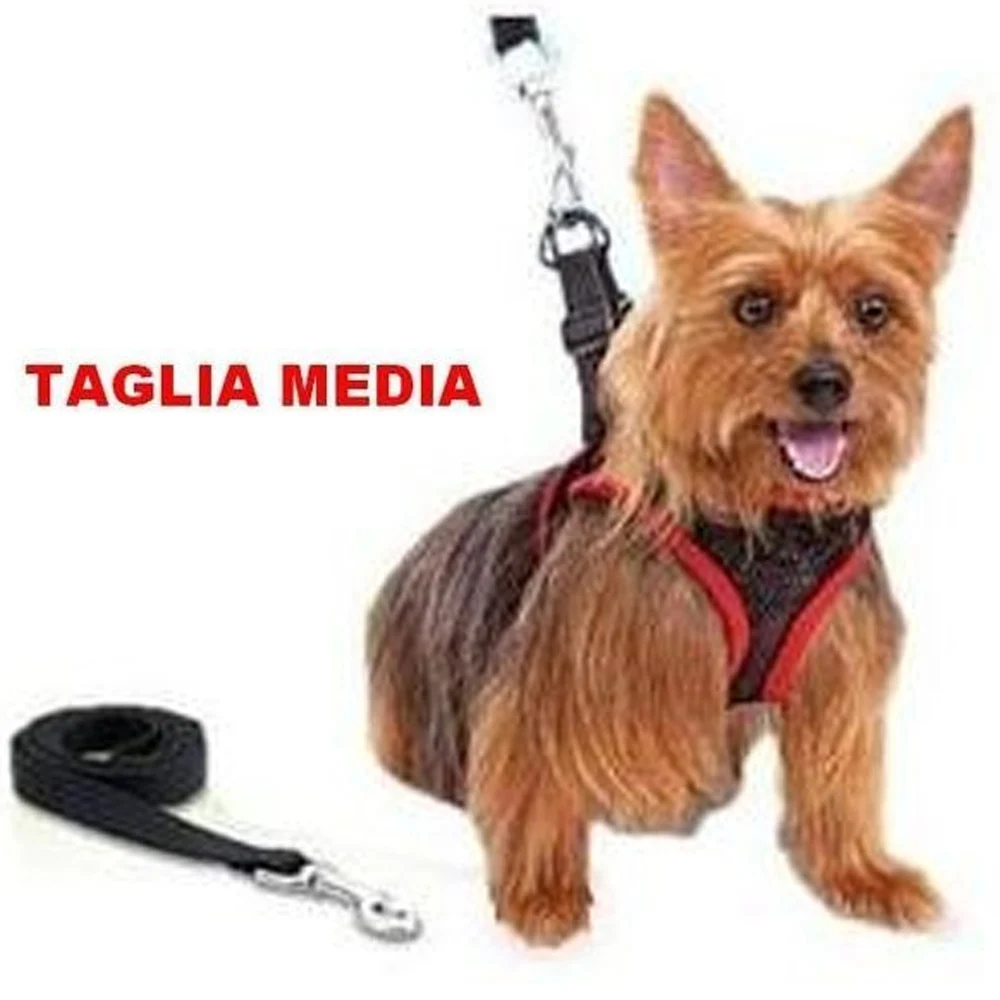 ELEGANTE PETTORINA E GUINZAGLIO REGOLABILE PER CANE COMFY CONTROL TAGLIA MEDIA - TrAdE Shop Traesio