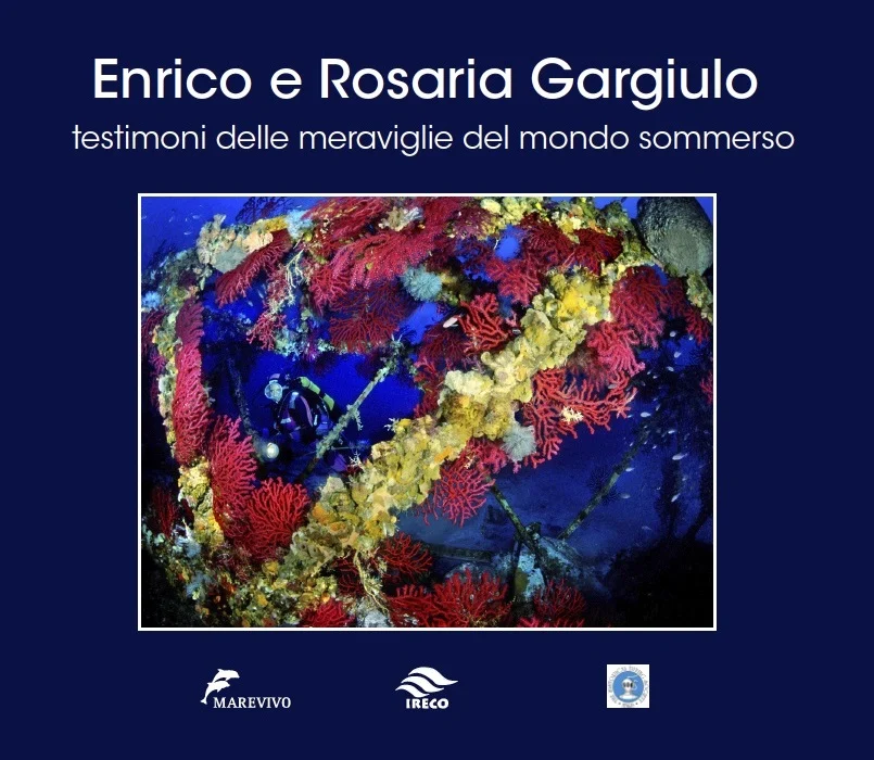enrico e rosaria gargiulo - Libri e DVD