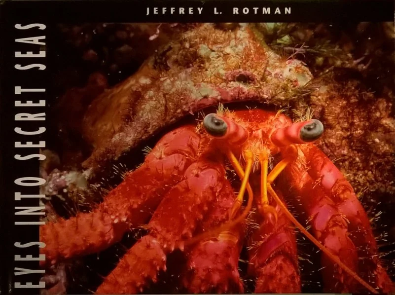eyes into secret seas - Libri e DVD