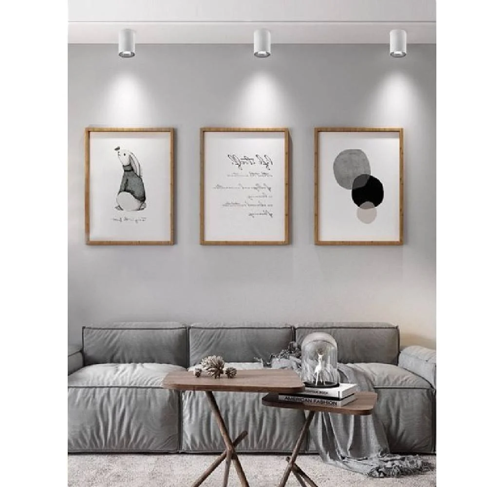 FARETTO PLAFONIERA SOFFITTO 20W APPLIQUE CILINDRO LED COB VARI TONI LUCE F20W-5B