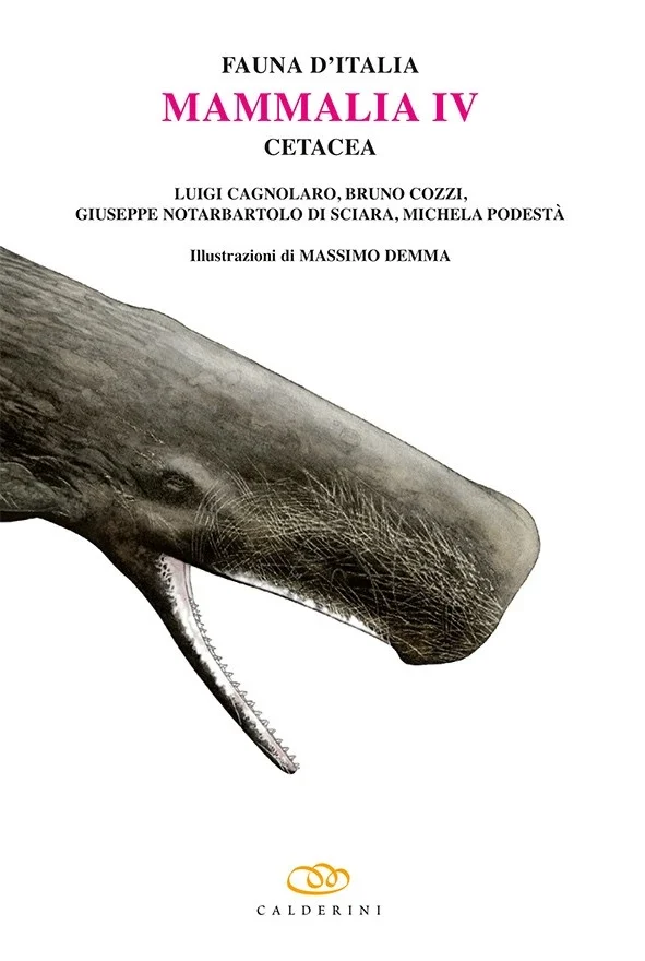 fauna d’italia vol. XLIX – mammalia IV – cetacea - Libri e DVD