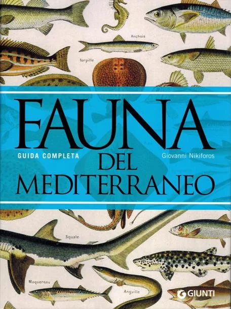fauna del mediterraneo - Libri e DVD