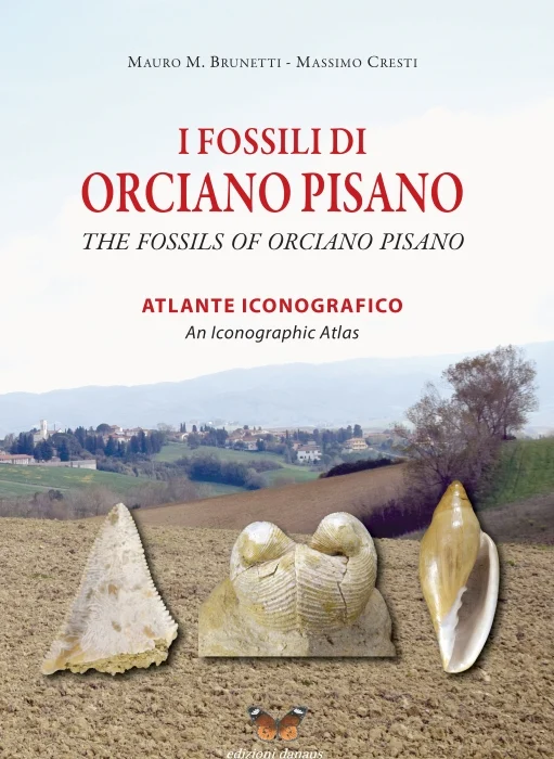i fossili di orciano pisano - Libri e DVD