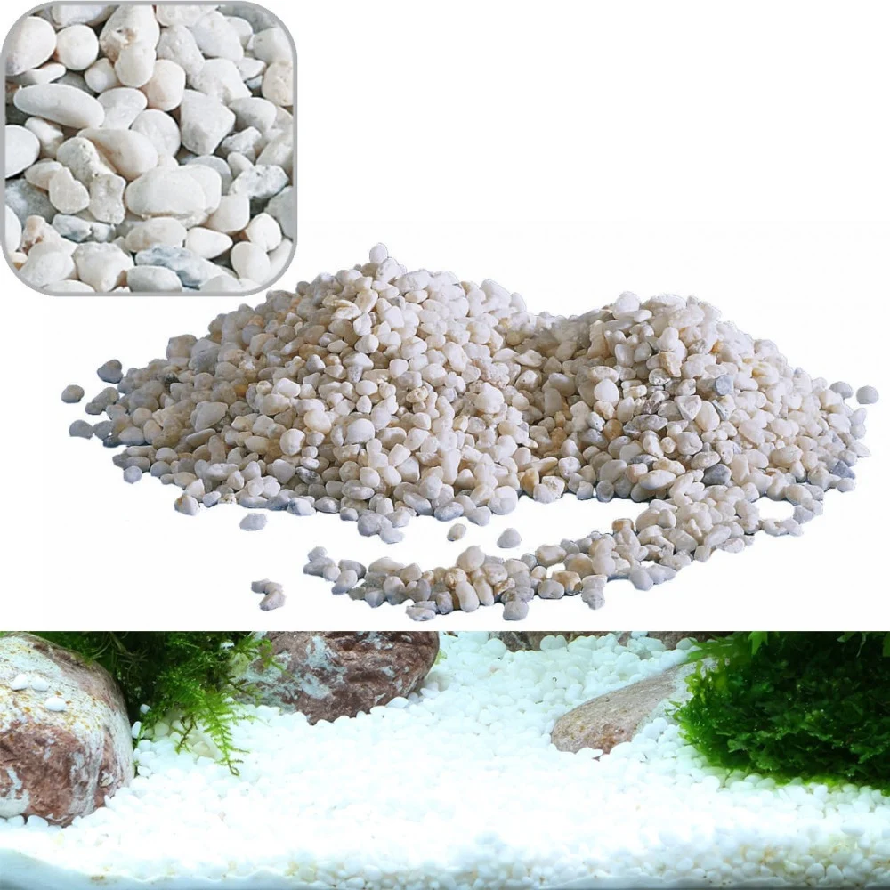 GHIAIA NOA MEDIA DECORATIVA PER ACQUARIO ACQUARI KG. 2.0 RIVER ROCKS PER FONDALE - TrAdE Shop Traesio