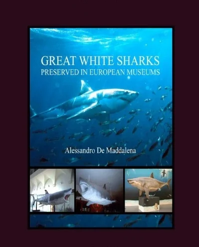 great white sharks preserved in european museums - Libri e DVD