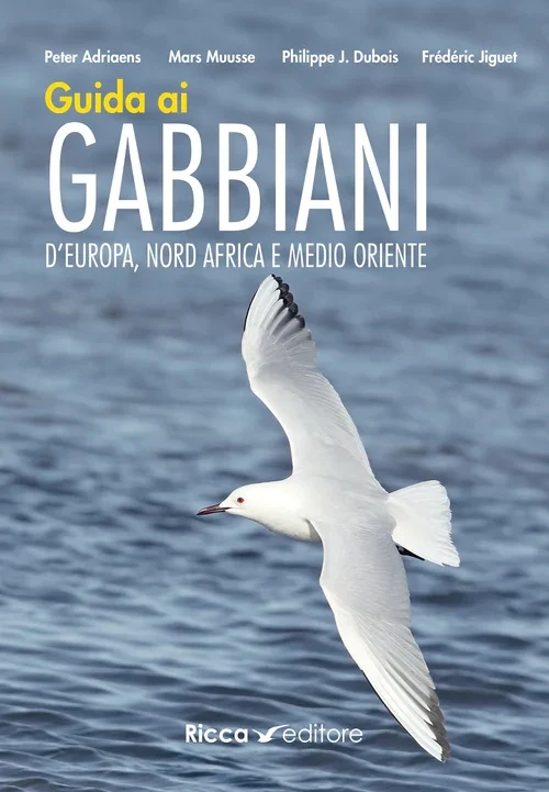 guida ai gabbiani d’europa, nord africa e medio oriente - Libri e DVD