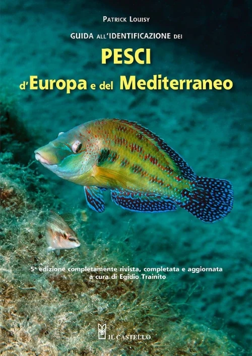 guida all’identificazione dei pesci d’europa e del mediterraneo - Libri e DVD