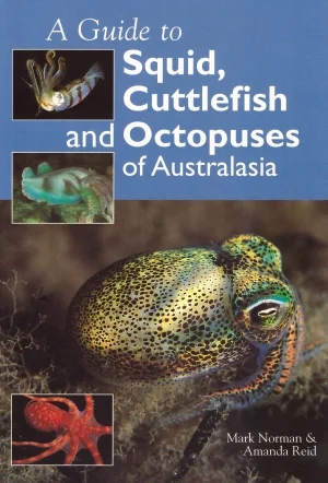 a guide to squid, cuttlefish and octopuses of australasia - Libri e DVD