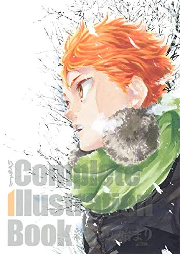 HAIKYU!! Complete Illustration Book - The End and the Beginning - Art Collection