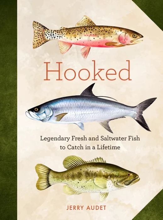 hooked - Libri e DVD
