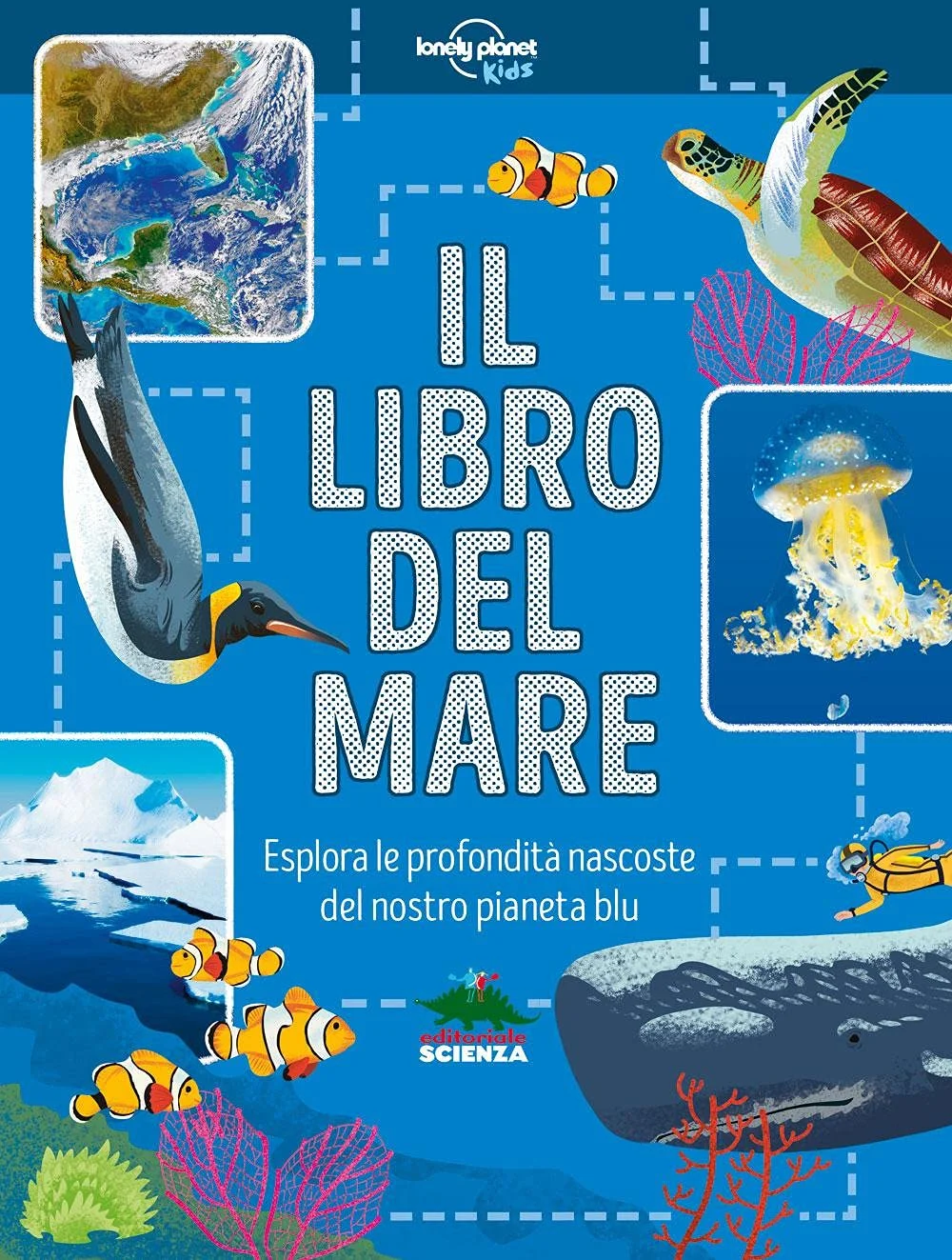 il libro del mare - Libri e DVD