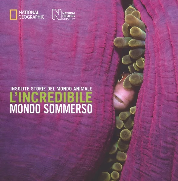 l’incredibile mondo sommerso - Libri e DVD