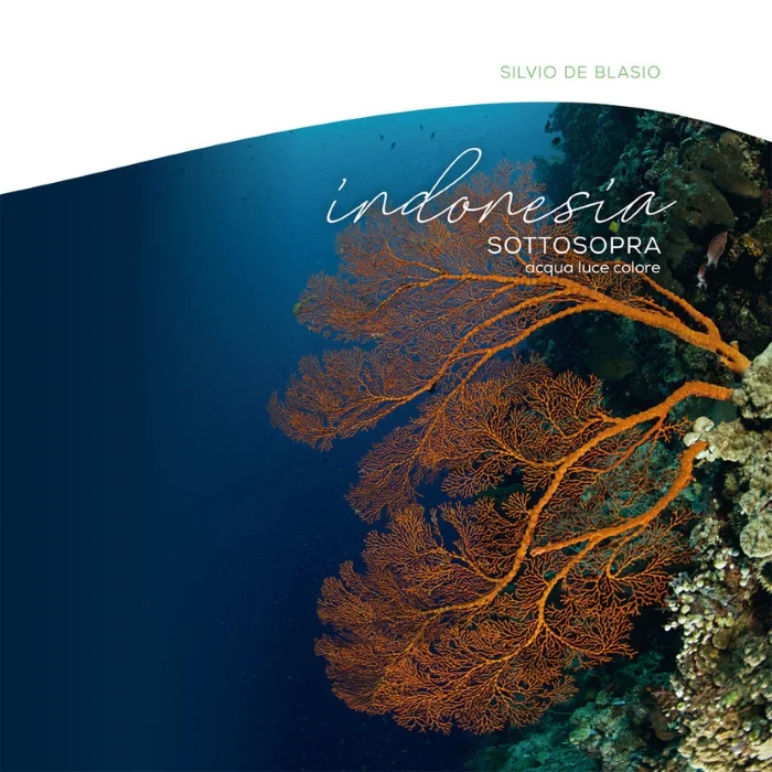 indonesia sottosopra - Libri e DVD
