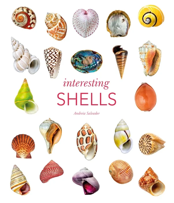 interesting shells - Libri e DVD