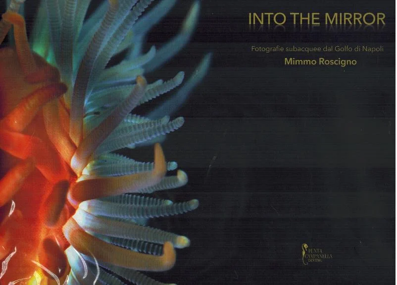 into the mirror - Libri e DVD