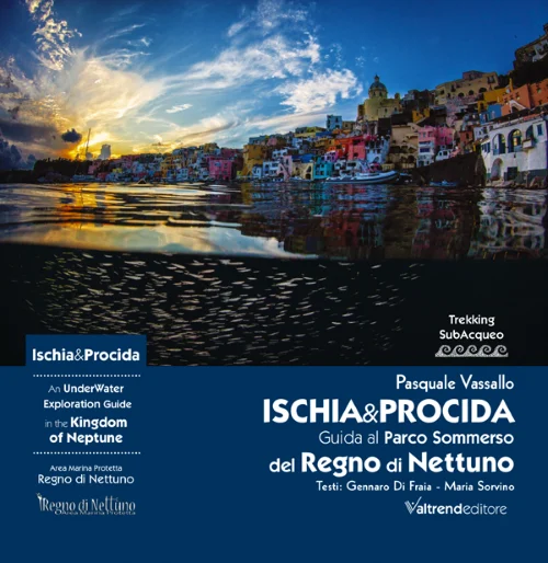 ischia & procida - Libri e DVD