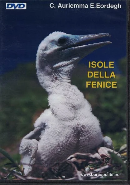 isole della fenice - Libri e DVD