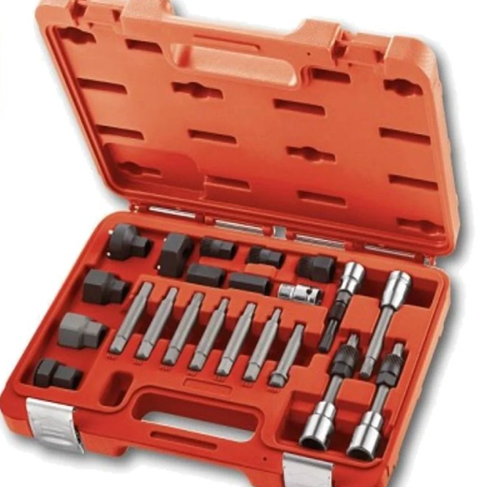 KIT DI CHIAVI PER SMONTAGGIO PULEGGIA E ALTERNATORE MOTORE AUTO 24 PEZZI - TrAdE Shop Traesio