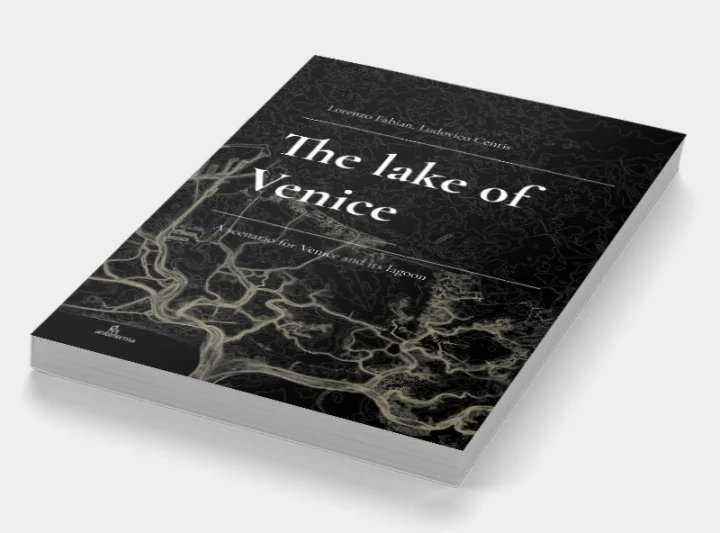 the lake of venice - Libri e DVD