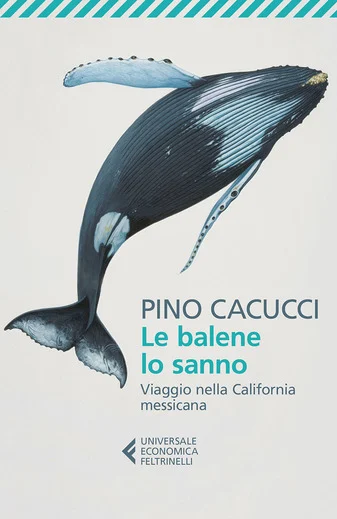 le balene lo sanno - Libri e DVD