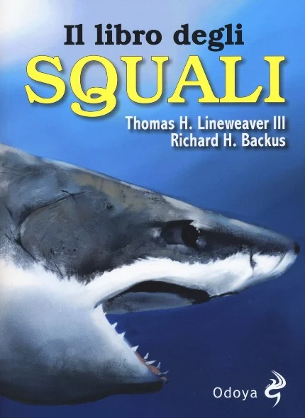 il libro degli squali - Libri e DVD
