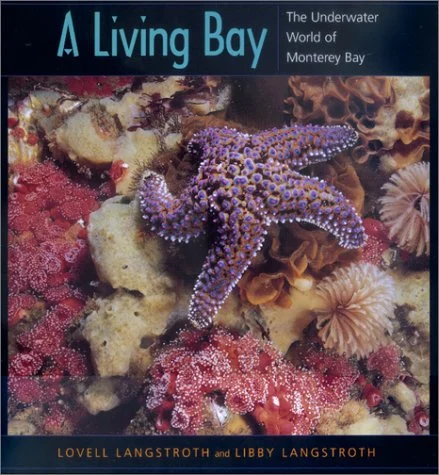 a living bay - Libri e DVD