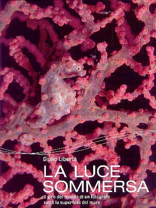 la luce sommersa - Libri e DVD