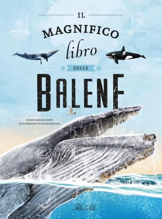 il magnifico libro delle balene - Libri e DVD