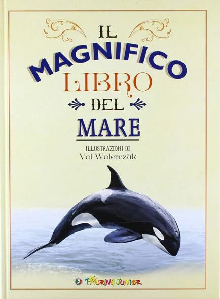 il magnifico libro del mare - Libri e DVD