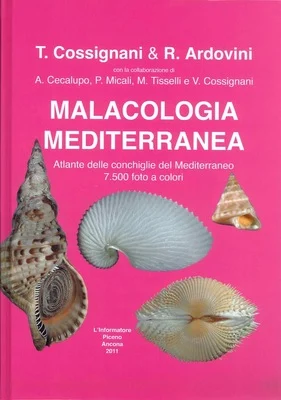 malacologia mediterranea - Libri e DVD