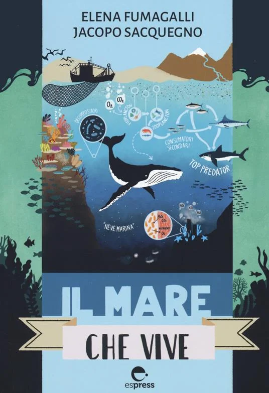 il mare che vive - Libri e DVD