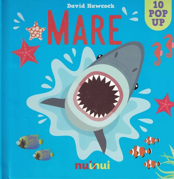 mare – libro pop-up