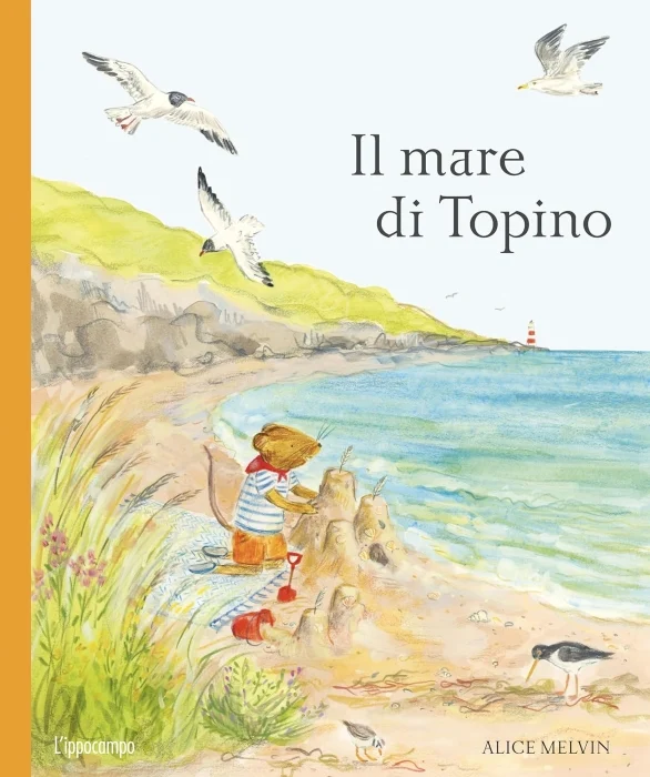 Il mare di Topino - Libri e DVD