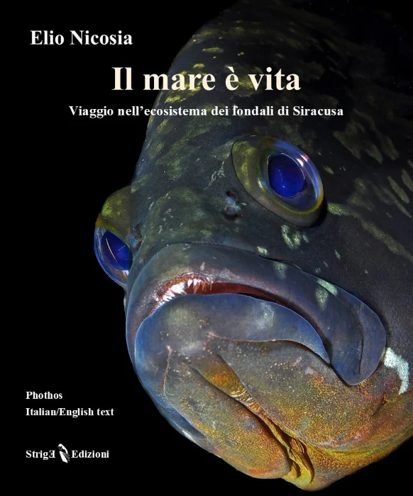 il mare è vita - Libri e DVD