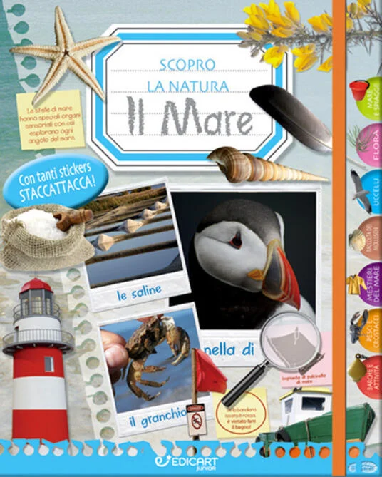 il mare – scopro la natura - Libri e DVD