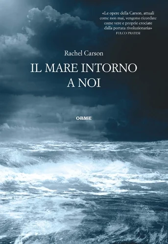il mare intorno a noi - Libri e DVD