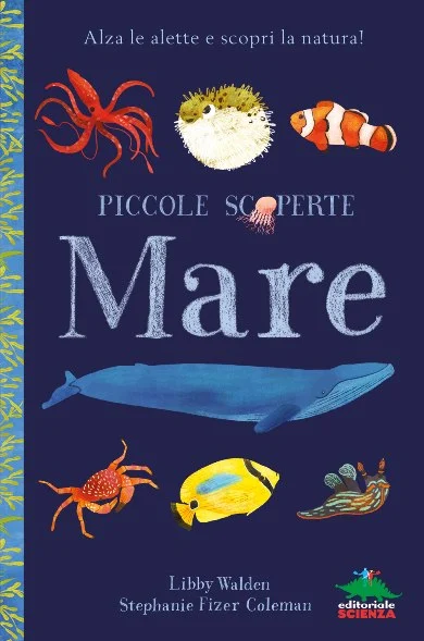 mare – piccole scoperte - Libri e DVD
