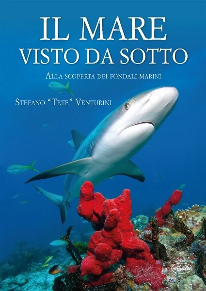 il mare visto da sotto - Libri e DVD