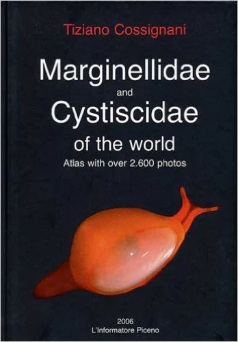 marginellidae and cystiscidae of the world - Libri e DVD