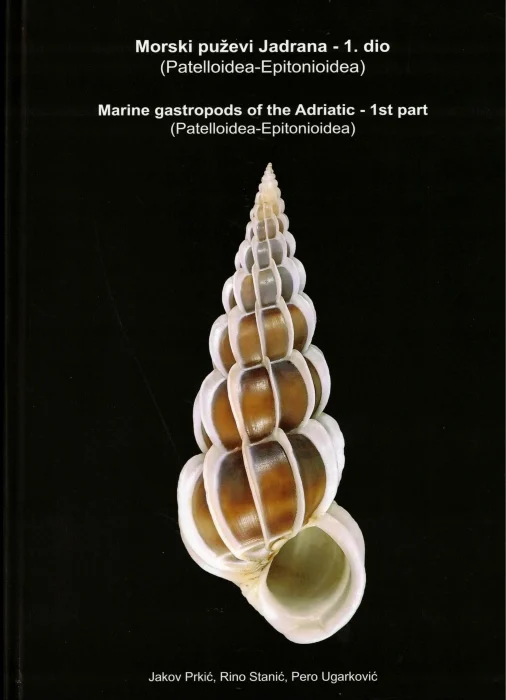 marine gastropods of the adriatic – 1st part - Libri e DVD